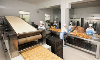 西安食品廠凈化車間規(guī)范要求與軟件開發(fā)前的潔凈車間設(shè)計關(guān)鍵點