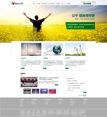 青浦設(shè)計(jì)服務(wù)與軟件開發(fā) 打造全方位品牌與數(shù)字化解決方案